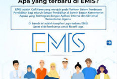 EMIS 4.0 GTK Madrasah: Panduan Lengkap Transisi, Cara Login, dan Solusi Teknis 2026