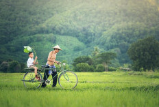 Fenomena Fatherles di Indonesia Jadi Sorotan, Pemerintah Dorong Gerakan Ayah Mengambil Rapor