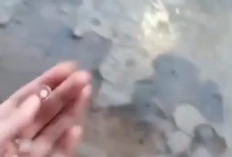 Heboh! Hujan Es Guyur Sejumlah Wilayah di Kuningan Jawa Barat Sore Ini