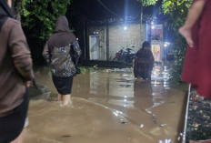 Kiriman Air dari Kuningan, Sungai Singaraja Meluap Rendam Tiga Desa di Cirebon