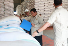 Usai Beri Arahan Ketua DPRD Se-Indonesia, Prabowo Sidak Gudang Bulog Danurejo Pastikan Stok Beras Aman