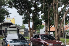 7 Pilihan Mobil Sedan Murah untuk Perkotaan, Mulai dari Rp40 Jutaan Dapat Motuba Irit BBM dan Masih Clean!
