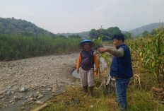 Abrasi Sungai di Cibodas Majalengka Ancam Sawah dan Keselamatan Warga, Ini Harapan Masyarakat
