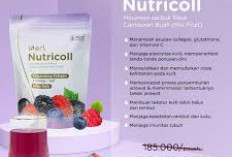 Kulit Mulai Terlihat Lelah, Kusam, dan Kurang Elastis? Saatnya Rawat dari Dalam dengan Nutricoll B ERL