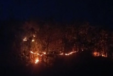 Hutan Manengteung di Cirebon Terbakar, Api Lahap Sekitar 1 Hektare di Medan Curam