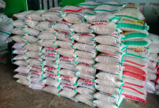 Bulog Pastikan Stok Beras Nasional Aman hingga Akhir Tahun, Masyarakat Diimbau Belanja Bijak