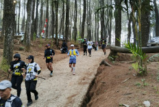 Diikuti 200 Pelari, DTBL Trail Run 2026 Jadi Ajang Promosi Wisata Alam Kuningan