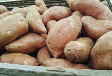 7 Makanan Kaya Biotin yang Mudah Ditemukan, Bukan Cuma Baik untuk Rambut