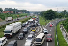 Menuju Jakarta Tersendat! Kendaraan Mengular Panjang di Tol Palikanci