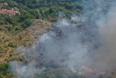 Karhutla Gunung Ciremai 2026 Hanguskan 14,9 Hektare, Area Reboisasi Ikut Terancam
