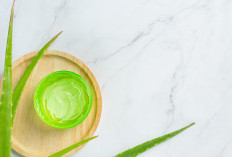 Wajah Glowing Hanya dengan Lidah Buaya! 6 Rahasia Masker Ini Bikin Kulit Kamu Mulus