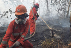 Pemerintah Terapkan Modifikasi Cuaca dan Tambah Armada Udara Atasi Kebakaran Hutan Kalimantan
