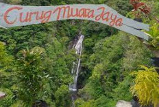Pesona Alam Majalengka! Spot Camping dengan View Indahnya Curug Muara Jaya