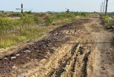 Sentra Garam Terbesar Jawa Barat Terhambat Infrastruktur, Jalan 8 Kilometer Belum Pernah Diaspal