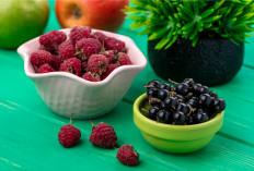 7 Makanan untuk Atasi Kecemasan Secara Alami, Bantu Pikiran Lebih Tenang Tanpa Obat