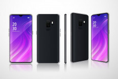 Gak Perlu Mahal! Ini 3 HP Mid-Range dengan Kamera Terbaik untuk Konten Kreator