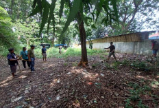 Dari Sungai Sukalila ke Dukuh Semar, Perjuangan Baru Pedagang Bunga Kalibaru