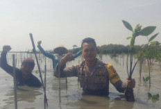 Tanam 100 Bibit Mangrove di Mundu Pesisir, Bhabinkamtibmas Ajak Warga Jaga Pantai dari Abrasi