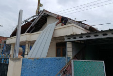 Angin Kencang Terjang Indramayu, 9 Rumah Rusak dan Pohon Tumbang di Empat Kecamatan