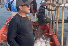 Wakil Ketua DPRD Kota Cirebon Desak Penanganan Cepat Tongkang Batu Bara Tenggelam, Ini yang Dikhawatirkan