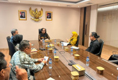 Wakil Walikota Bertemu Wamen Perindustrian, Jajaki Peluang Pengembangan Industri di Kota Cirebon