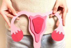 Teknologi Radioterapi Presisi Tinggi Buka Harapan Baru Bagi Pasien Kanker Serviks