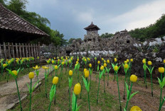 Wisata Malam 'Lumi Land' Hadir di Goa Sunyaragi, Jam Operasional Diperpanjang Saat Libur Lebaran
