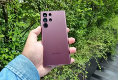 HP Samsung di Bawah Rp 4 Juta Ini Punya Layar AMOLED 6,7 Inci, Baterai Jumbo, dan Update 6 Tahun