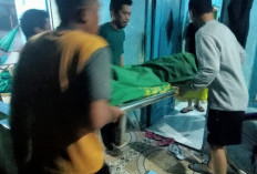 Sedang Cari Ikan, Warga Cangkol Tewas Digigit Ular Kobra di CUDP