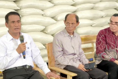Bukan Rekayasa! Mentan Beberkan Rahasia Swasembada Beras 2025