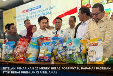 Sebanyak 25 Merek Beras Fortifikasi Ditarik, Stok Beras Premium di Ritel Aman? Begini Kata Mentan