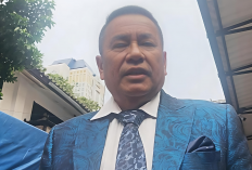 Hotman Paris Tinggalkan Kasus Febrie Adriansyah, Ternyata Ini Penyebabnya