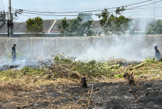 Asap Pekat Pembakaran Lahan Resahkan Warga Perumahan Griya Taman Suci