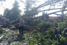 Angin Puting Beliung Terjang Mertasinga Cirebon, 128 Rumah Rusak, Ratusan Warga Terdampak