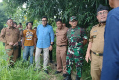 Selain Sawit, Kurma Jadi Sorotan di Cirebon, 10 Tahun Belum Panen!