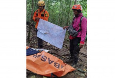 Detik-Detik Dramatis Tim SAR Temukan Korban Pesawat ATR di Jurang 200 Meter