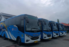 BRT Trans Cirebon Dihentikan, Dishub Bongkar Fakta Beban Anggaran dan Solusi Bus Sekolah