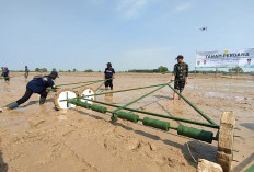 KTNA Indramayu Dukung Modernisasi Pertanian PM-AAS, Produktivitas Padi Capai 10 Ton per Hektare