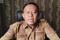 Sawit di Bukit Cigobang Belum Dicabut, Begini Reaksi Pemdes dan Warga