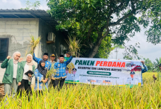 Desa di Indramayu Canangkan Program Zakat Pertanian, Potensi Dana Umat dari 628 Hektare Sawah