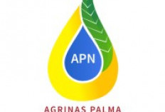 Lowongan Kerja Agrinas Palma Nusantara Oktober 2026, Buka 9 Posisi di Berbagai Wilayah