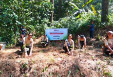 Sharp Indonesia Ubah Langkah Pelari Menjadi 600 Pohon untuk Selamatkan Habitat Elang Jawa