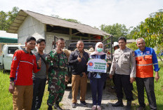 Sambut Iduladha, Indocement Cirebon Salurkan 158 Ekor Domba Kurban