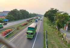 Pendapatan Pajak Jalan Tol di Cirebon Naik Tajam, Capai Rp9,7 Miliar per Tahun