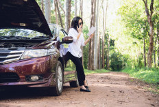 10 Mobil Bekas Paling Layak Dibeli di 2026, Mesin Bandel dan Irit BBM