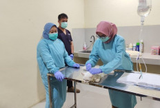 Dibalik Layanan Puskeswan:  Rumah Harapan bagi Hewan dan Pemiliknya dengan Biaya Periksa Rp25 Ribu