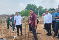 Usai Banjir, Kawasan Pusat Pemerintahan Cirebon Langsung Dihijaukan