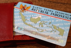 NIK KTP Tidak Terdaftar di Dukcapil? Ini Cara Mengatasinya agar BSU Tetap Cair