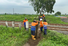 Upaya Peningkatan Keselamatan, KAI Daop 3 Cirebon Lakukan Penutupan Perlintasan Sebidang di Triwulan I 2026