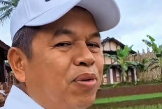 Serahkan Replika Rumah Pohon Korowai, Masyarakat Papua Doakan KDM Jaga Hutan Papua